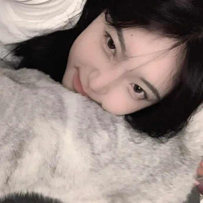 Y行动和舒立克的其它冒险